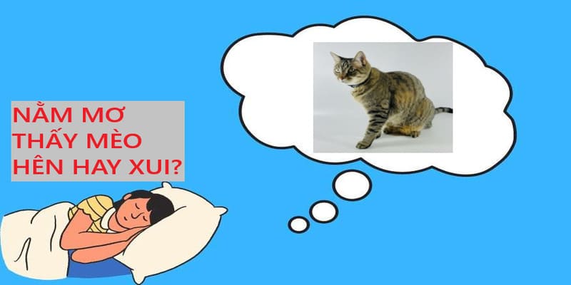 Giải mã bí ẩn xoay quanh giấc mơ thấy mèo
